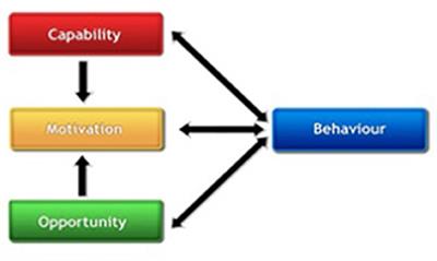 Sustaining capacity building and evidence-based NCD intervention implementation: Perspectives from the GRIT consortium